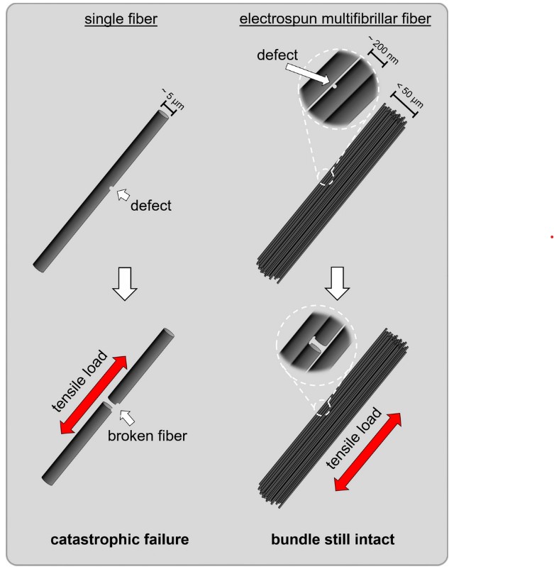 TOC_20240805_Novel multifibrillar carbon and oxidation-stable carbon-ceramic hybrid fibers