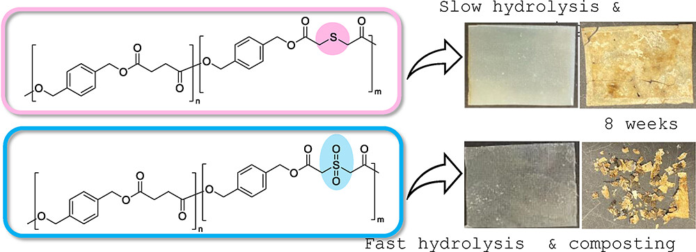 From Thioether to Sulfone Transforming Polyester Properties for Enhanced Degradation