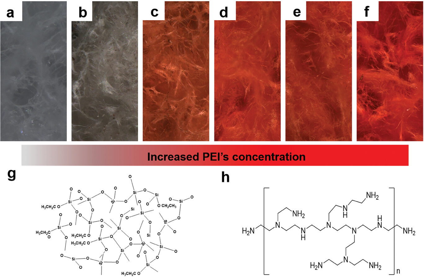 Polyethyleneimine Controlled Impregnation of Silver Nanowires on Electrospun Ceramic Sponges